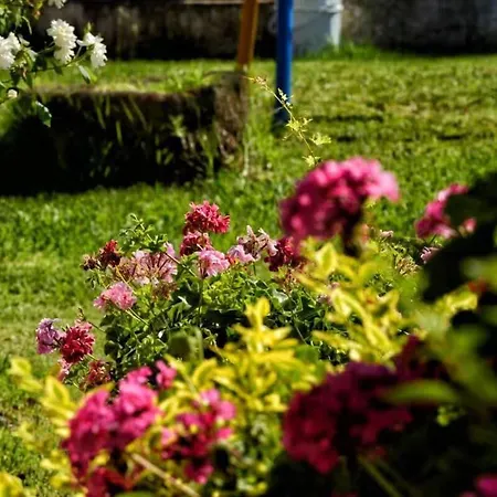 מלון The Blue Sea